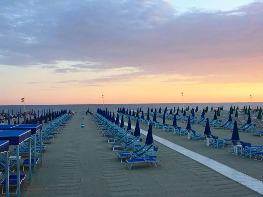 Immagine 8 di Locale commerciale in vendita  in DEI PEECCHI a Viareggio