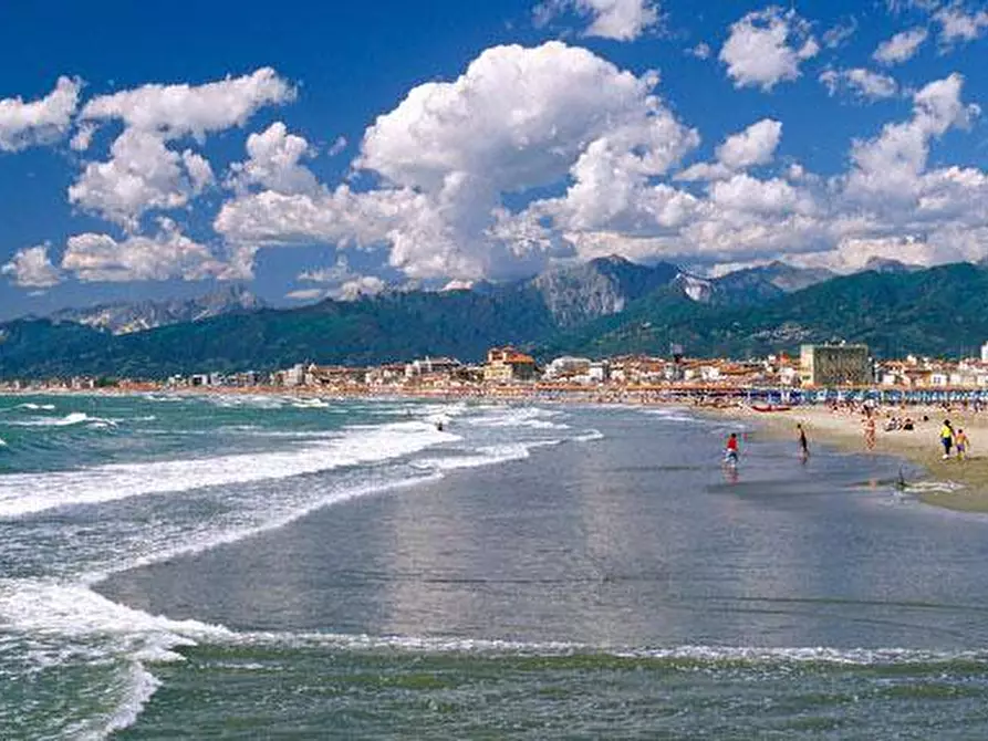 Immagine 11 di Locale commerciale in vendita  in DEI PEECCHI a Viareggio