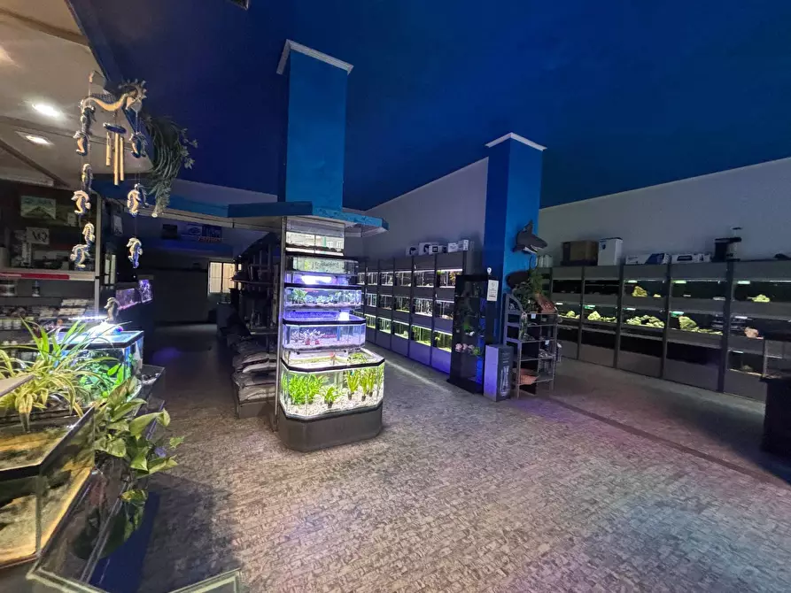 Immagine 2 di Negozio in vendita  in Via Cenisio a Milano