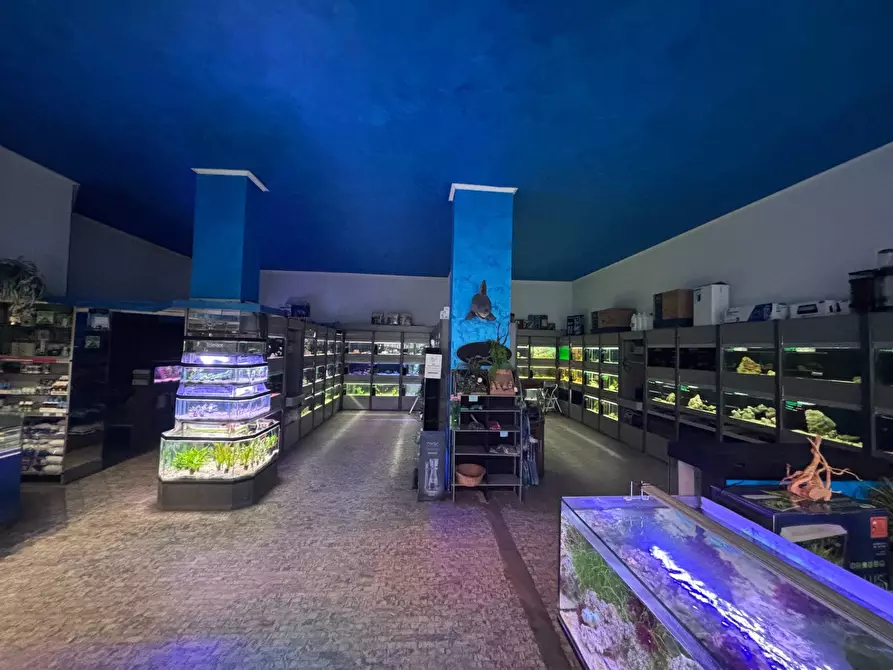 Immagine 3 di Negozio in vendita  in Via Cenisio a Milano