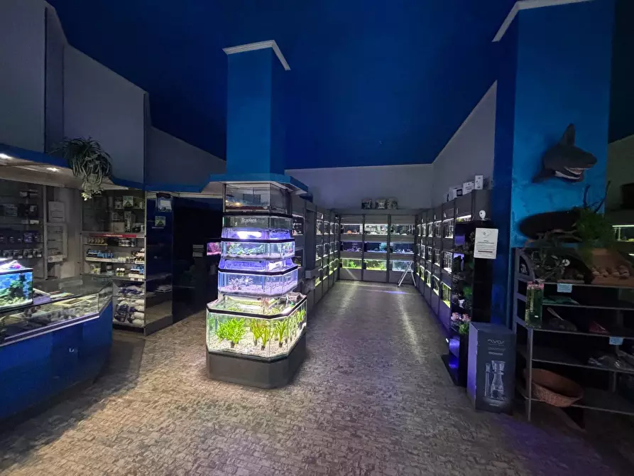 Immagine 4 di Negozio in vendita  in Via Cenisio a Milano