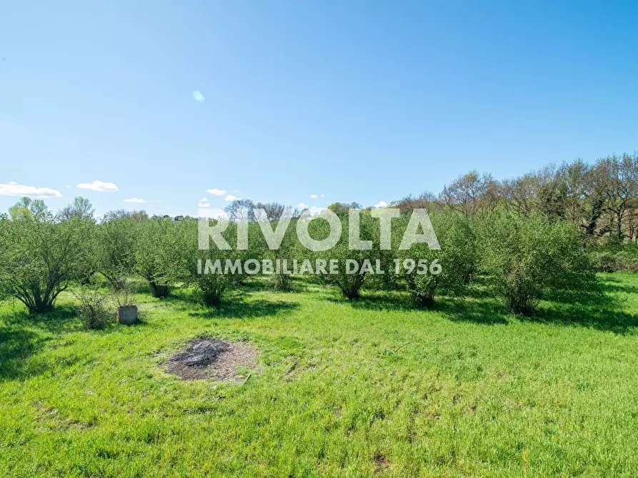 Immagine 14 di Villa in vendita  in via dell'asinara a Rignano Flaminio