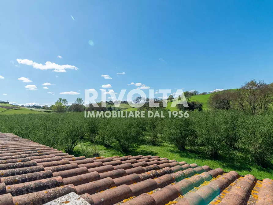 Immagine 24 di Villa in vendita  in via dell'asinara a Rignano Flaminio