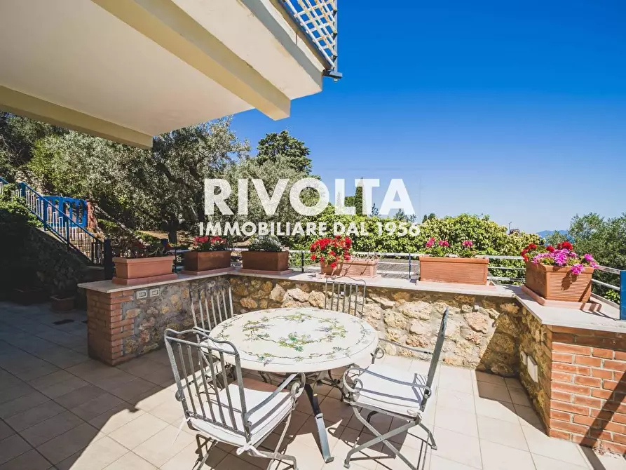 Immagine 5 di Appartamento in affitto  a Monte Argentario