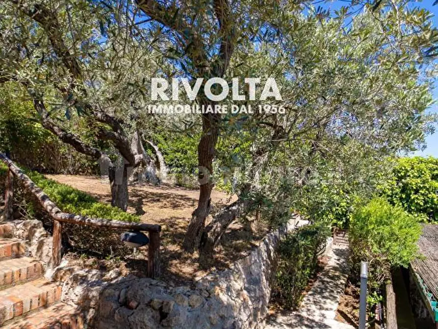 Immagine 24 di Appartamento in affitto  a Monte Argentario