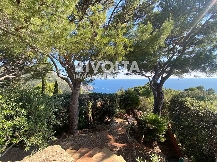 Immagine 19 di Villetta a schiera in affitto  in Località Cala Piccola a Monte Argentario