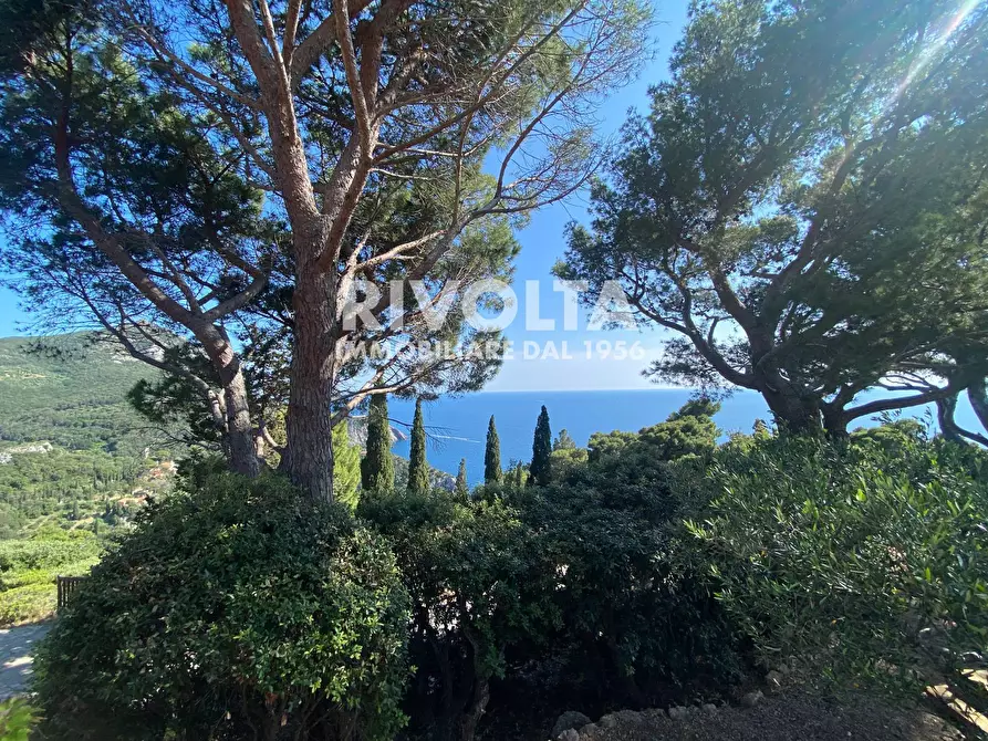 Immagine 20 di Villetta a schiera in affitto  in Località Cala Piccola a Monte Argentario