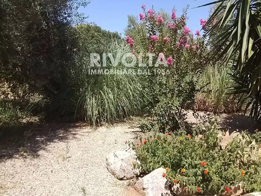 Immagine 4 di Rustico / casale in vendita  in Località Cacciata Grande a Montalto Di Castro