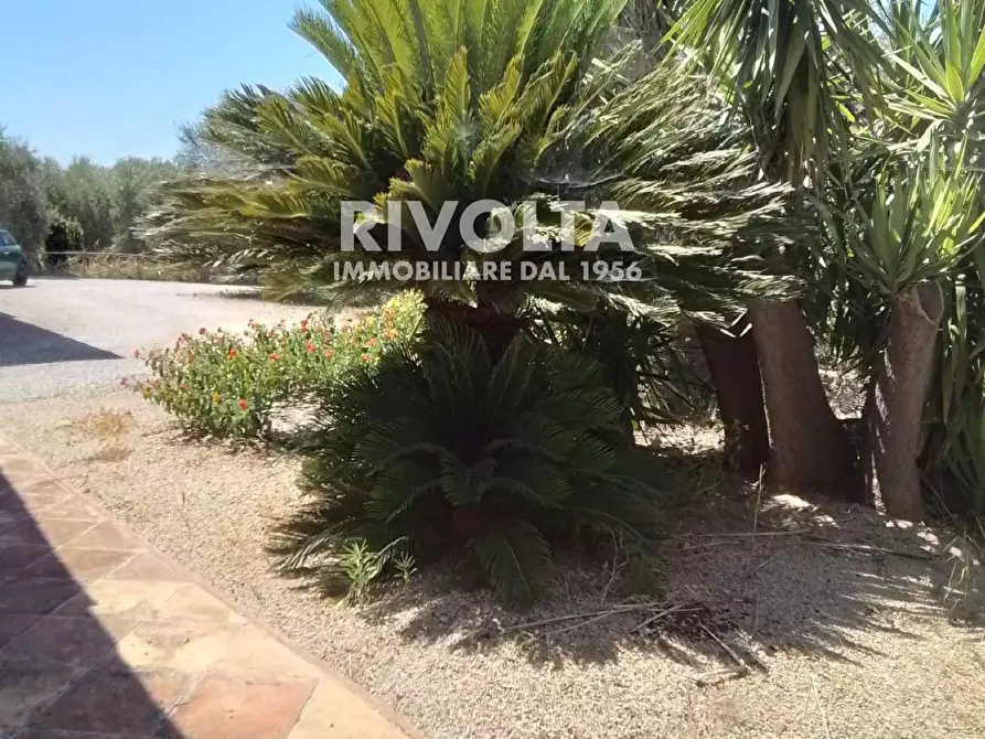 Immagine 5 di Rustico / casale in vendita  in Località Cacciata Grande a Montalto Di Castro