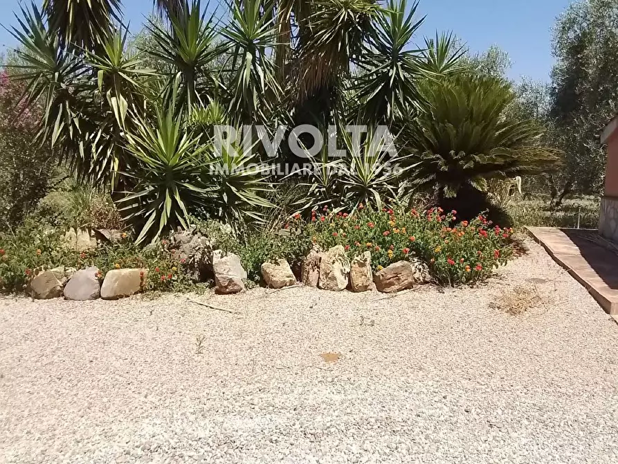 Immagine 6 di Rustico / casale in vendita  in Località Cacciata Grande a Montalto Di Castro