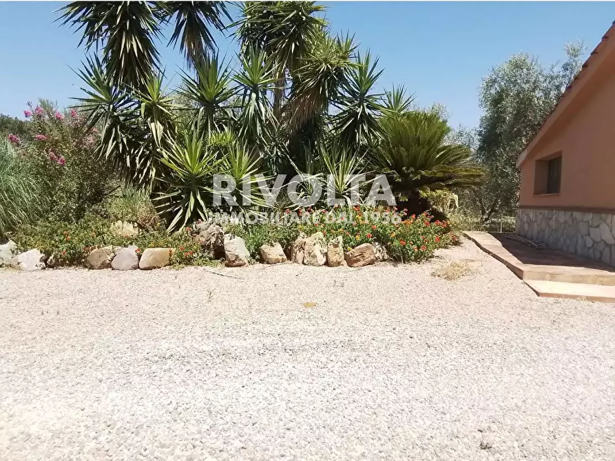 Immagine 7 di Rustico / casale in vendita  in Località Cacciata Grande a Montalto Di Castro