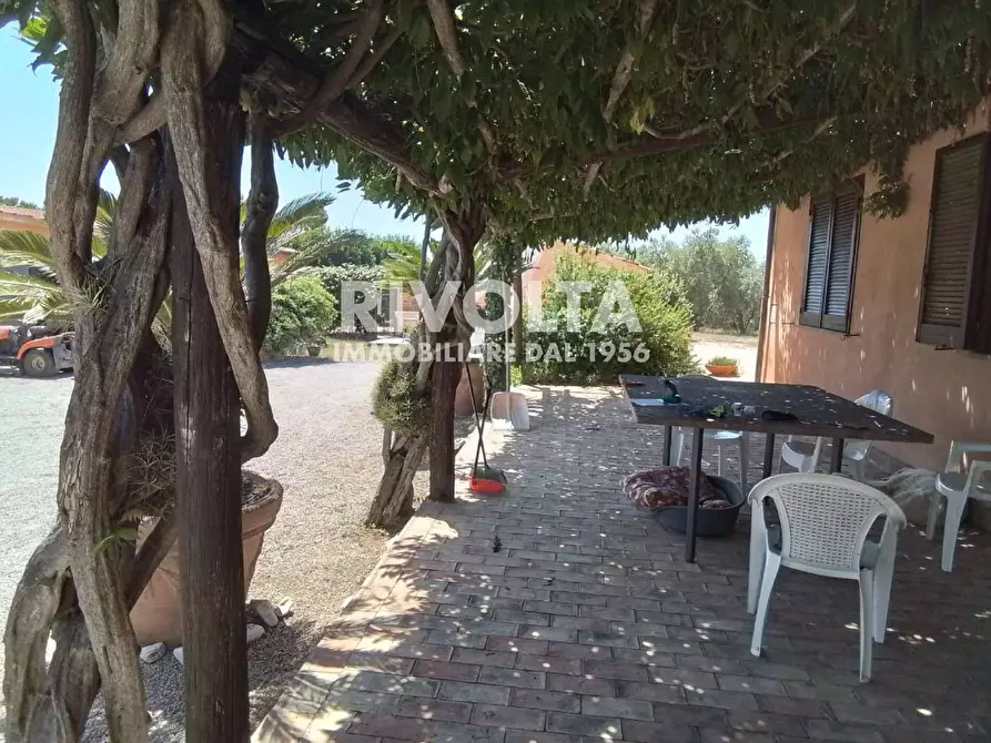 Immagine 11 di Rustico / casale in vendita  in Località Cacciata Grande a Montalto Di Castro