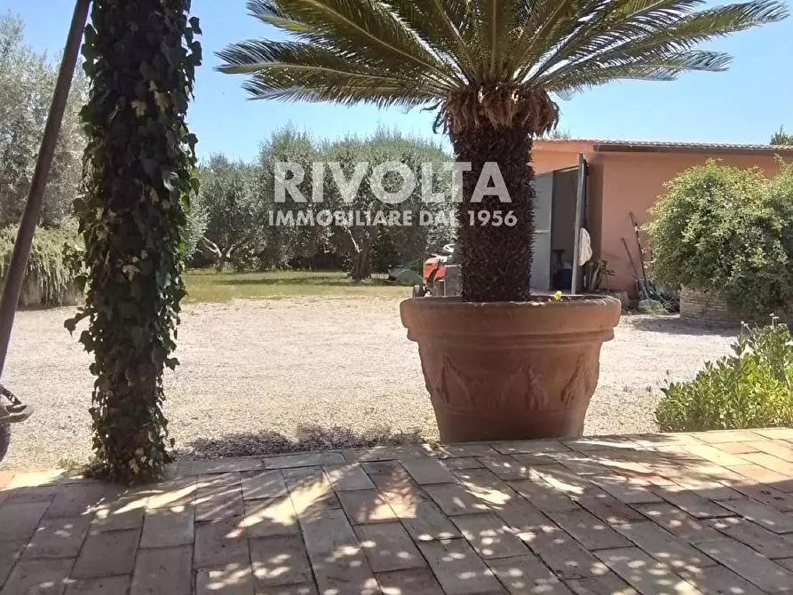 Immagine 13 di Rustico / casale in vendita  in Località Cacciata Grande a Montalto Di Castro