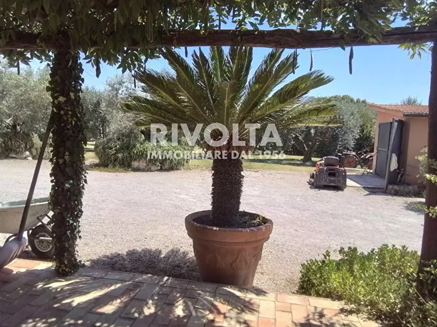 Immagine 14 di Rustico / casale in vendita  in Località Cacciata Grande a Montalto Di Castro