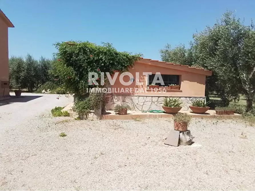 Immagine 15 di Rustico / casale in vendita  in Località Cacciata Grande a Montalto Di Castro