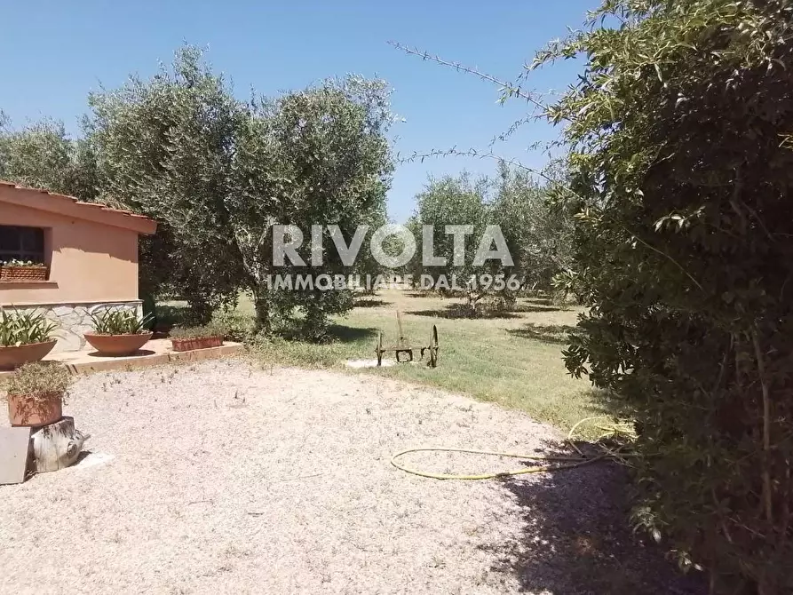 Immagine 16 di Rustico / casale in vendita  in Località Cacciata Grande a Montalto Di Castro