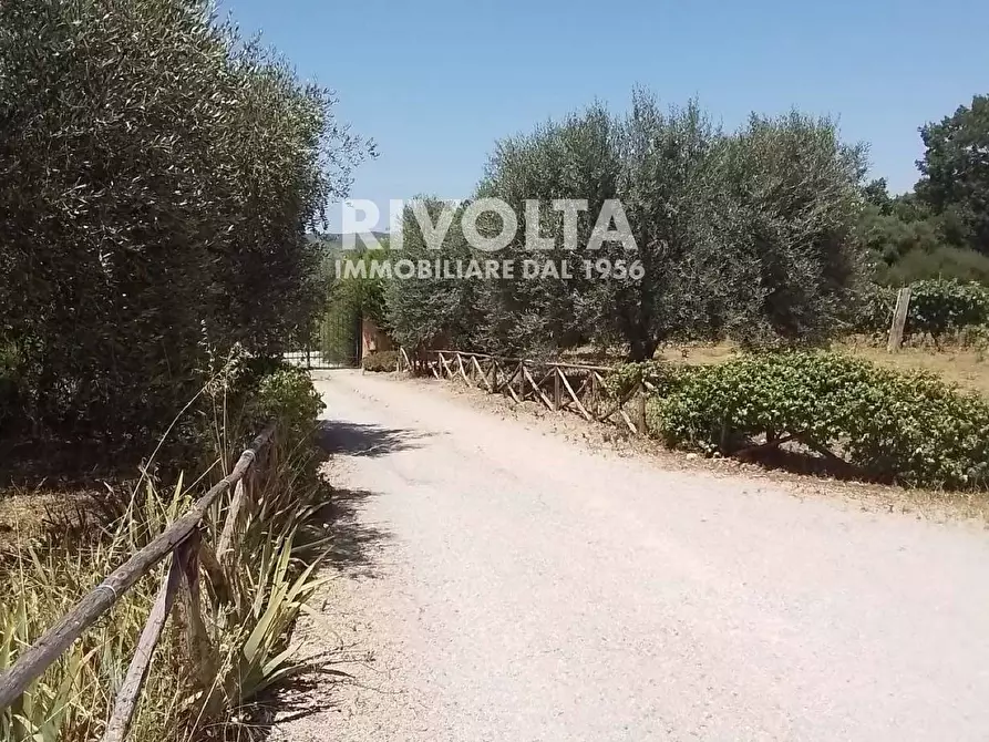 Immagine 20 di Rustico / casale in vendita  in Località Cacciata Grande a Montalto Di Castro