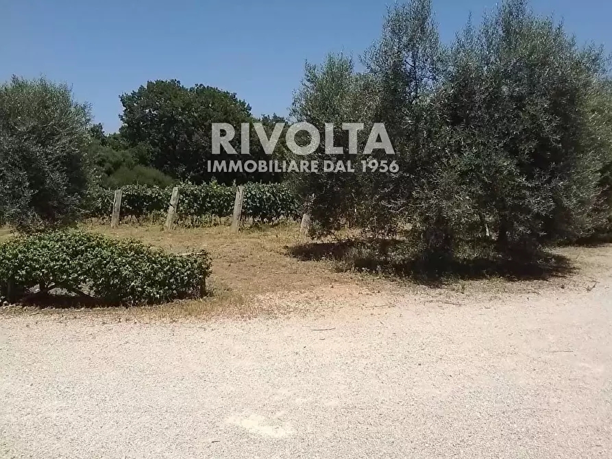 Immagine 21 di Rustico / casale in vendita  in Località Cacciata Grande a Montalto Di Castro