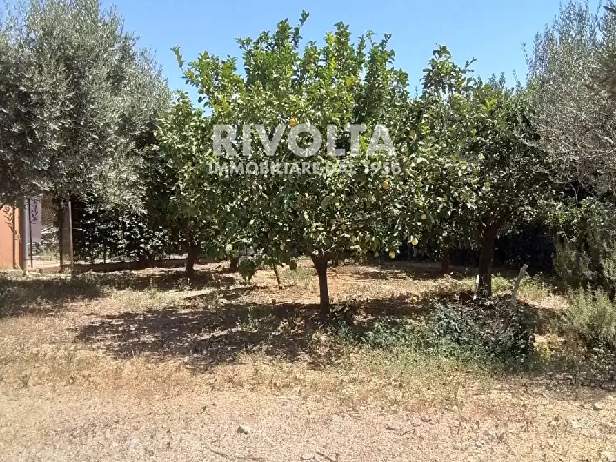 Immagine 23 di Rustico / casale in vendita  in Località Cacciata Grande a Montalto Di Castro