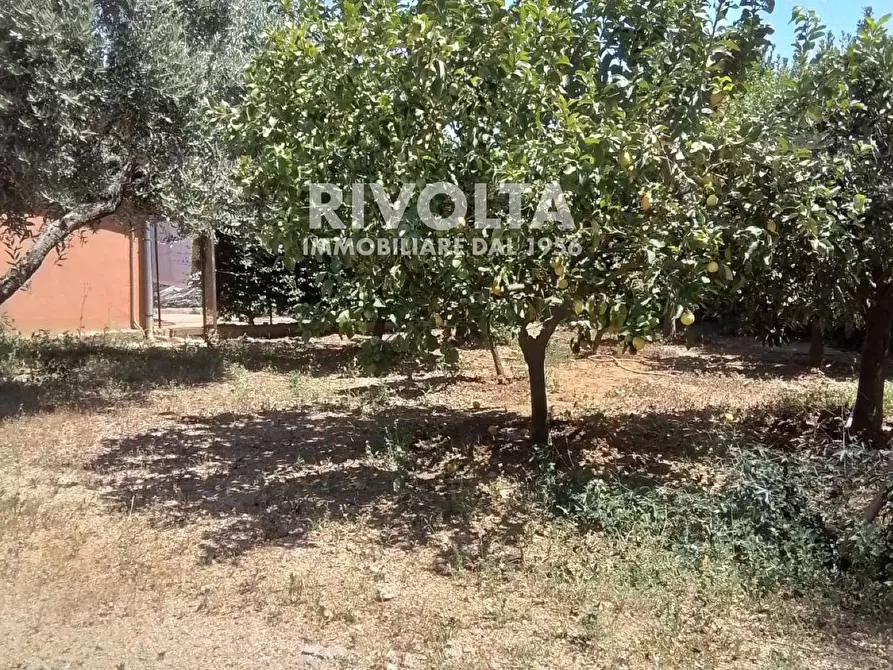 Immagine 24 di Rustico / casale in vendita  in Località Cacciata Grande a Montalto Di Castro