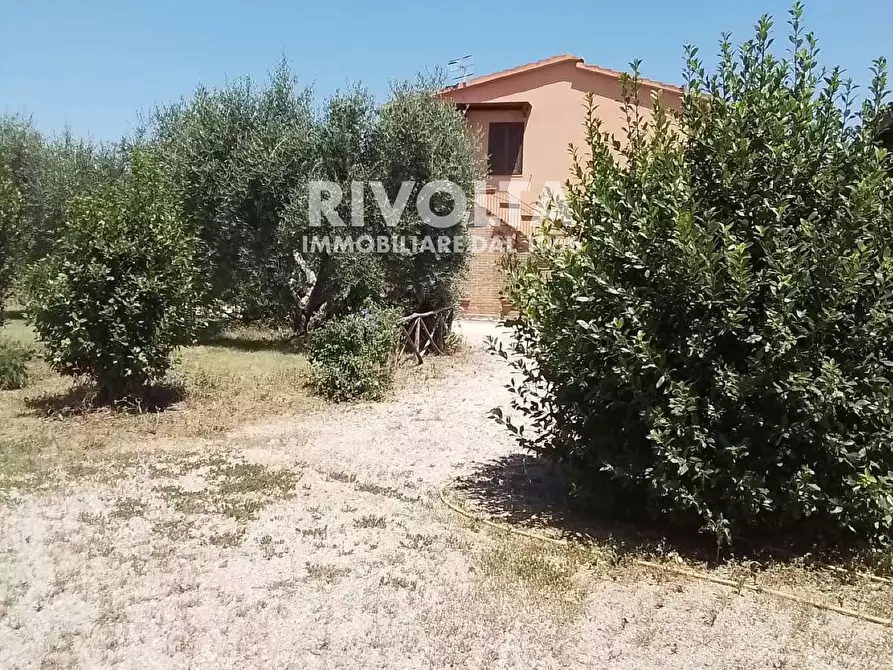 Immagine 26 di Rustico / casale in vendita  in Località Cacciata Grande a Montalto Di Castro