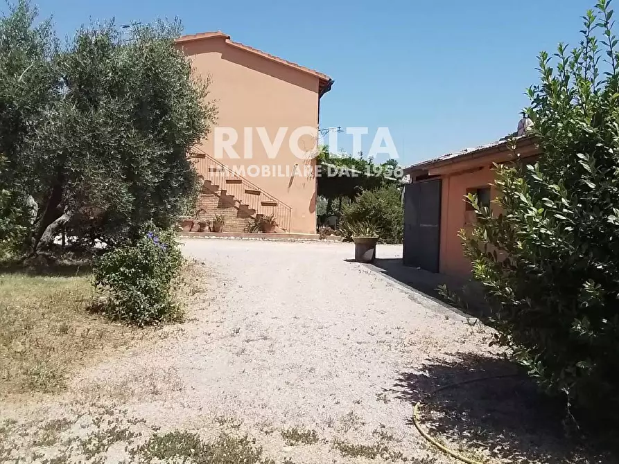 Immagine 27 di Rustico / casale in vendita  in Località Cacciata Grande a Montalto Di Castro