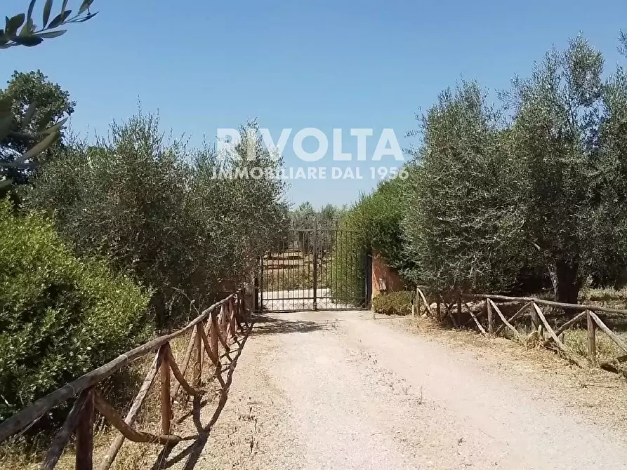 Immagine 28 di Rustico / casale in vendita  in Località Cacciata Grande a Montalto Di Castro