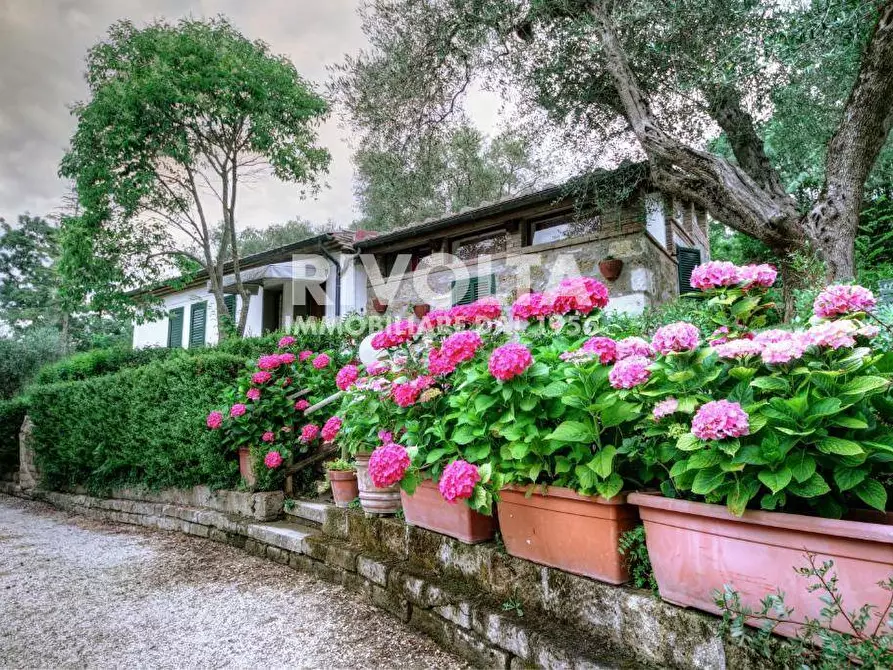 Immagine 6 di Albergo/B&B/Residence in vendita  in località Terme di Saturnia a Manciano