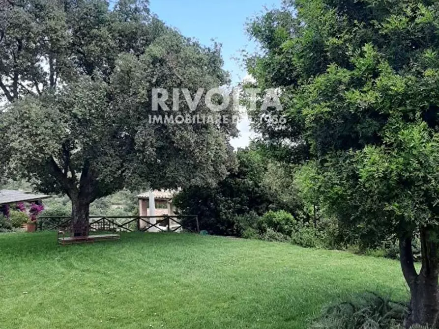 Immagine 26 di Villa in affitto  in Località Spaccamontagne a Monte Argentario