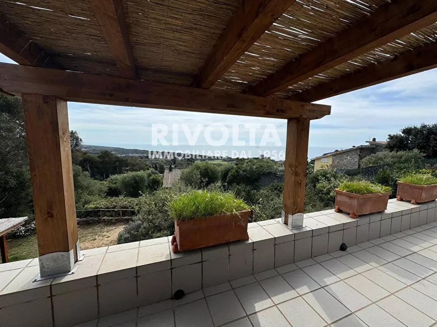 Immagine 11 di Villa in affitto  in via Lentisco a Orbetello