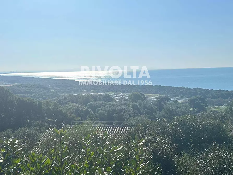 Immagine 13 di Villa in affitto  in via Lentisco a Orbetello