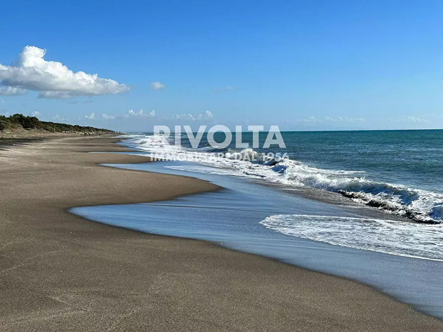 Immagine 14 di Villa in affitto  in via Lentisco a Orbetello