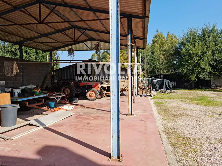 Immagine 12 di Villa in vendita  in strada formicosa a Sabaudia