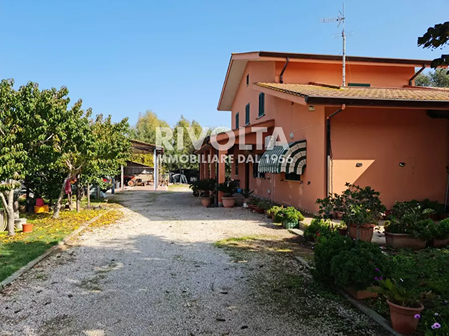 Immagine 13 di Villa in vendita  in strada formicosa a Sabaudia