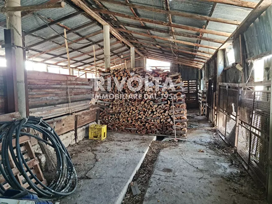 Immagine 14 di Villa in vendita  in strada formicosa a Sabaudia