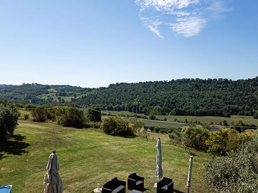 Immagine 6 di Villa in vendita  in Via Colli a Collevecchio