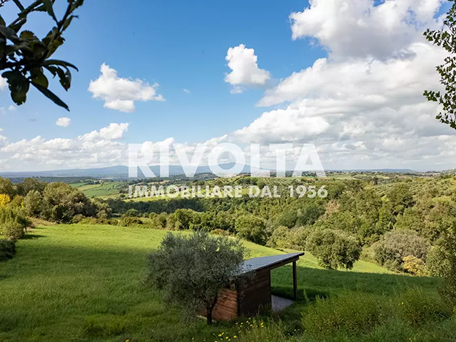 Immagine 7 di Villa in vendita  in Via Roane a Collevecchio