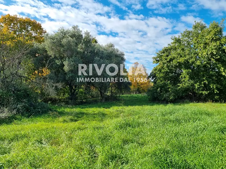 Immagine 1 di Terreno agricolo in vendita  in Via San Marco Argentano a Roma