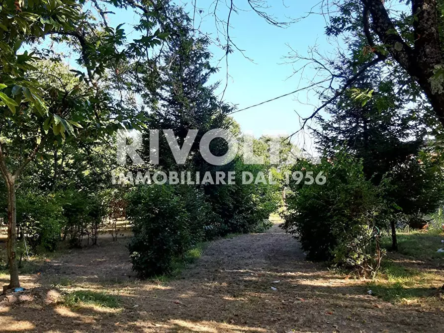 Immagine 3 di Villa in vendita  in Via Madonna Delle Grazie a Canepina