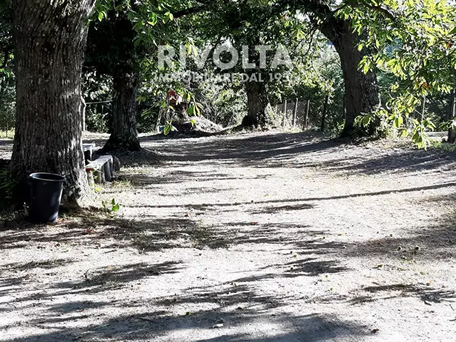 Immagine 18 di Villa in vendita  in Via Madonna Delle Grazie a Canepina