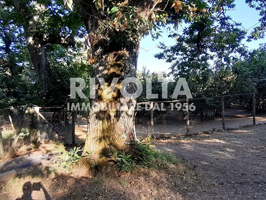 Immagine 8 di Villa in vendita  in Via Madonna Delle Grazie a Canepina