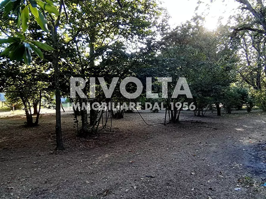 Immagine 6 di Villa in vendita  in Via Madonna Delle Grazie a Canepina