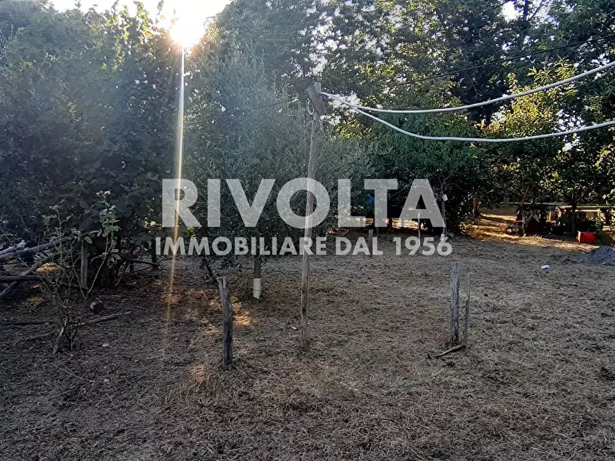 Immagine 13 di Villa in vendita  in Via Madonna Delle Grazie a Canepina
