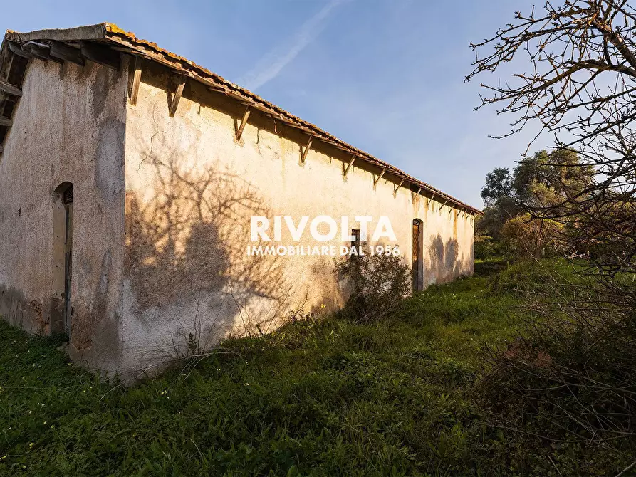 Immagine 6 di Rustico / casale in vendita  in strada vicinale sant'anna pollina a Alghero