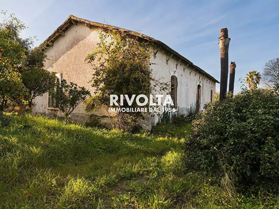 Immagine 10 di Rustico / casale in vendita  in strada vicinale sant'anna pollina a Alghero