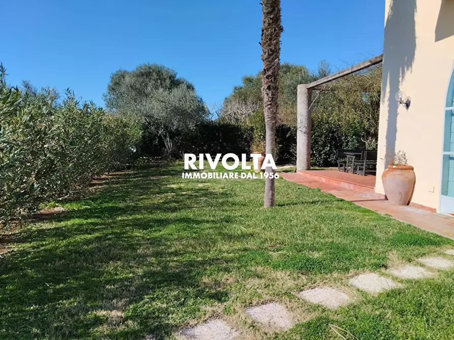 Immagine 5 di Villa in affitto  in Strada vicinale dei poggi a Orbetello