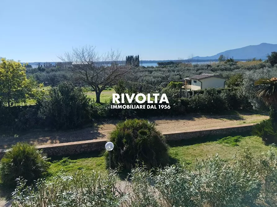 Immagine 15 di Villa in affitto  in Strada vicinale dei poggi a Orbetello