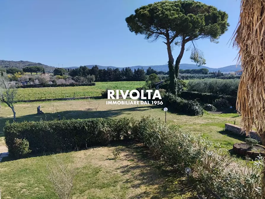 Immagine 16 di Villa in affitto  in Strada vicinale dei poggi a Orbetello