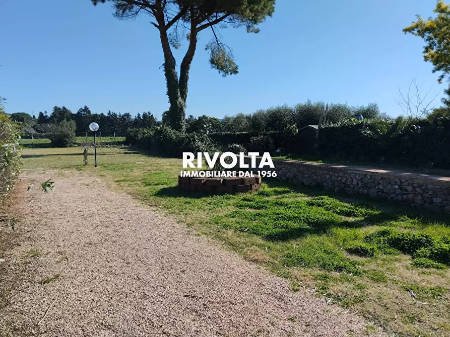 Immagine 17 di Villa in affitto  in Strada vicinale dei poggi a Orbetello