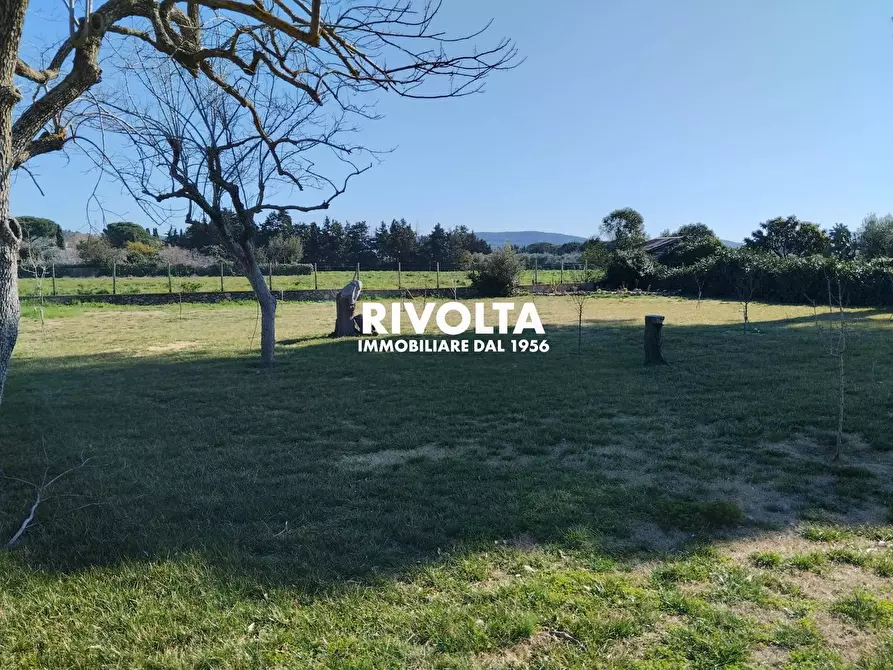 Immagine 18 di Villa in affitto  in Strada vicinale dei poggi a Orbetello